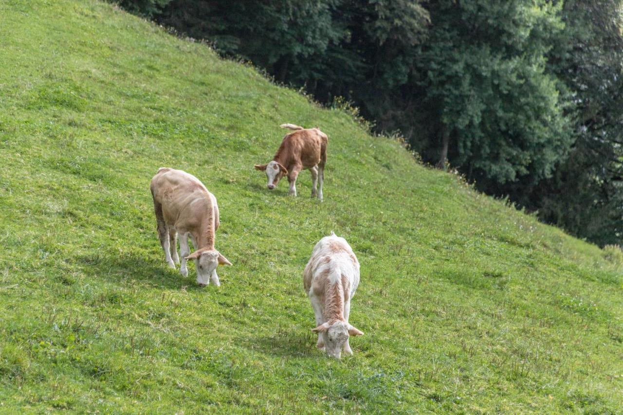 Ferienwohnung Oberrisstraum Schliersee Bagian luar foto